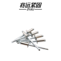 兆远紧固 抽芯铆钉拉铆钉(个)(6*30)