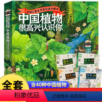 中国植物,很高兴认识你! [正版]中国植物很高兴认识你全4册儿童百科全书自然科普绘本图鉴6- 5-12岁小学生课外阅读书