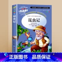 昆虫记 [正版]昆虫记原著完整版法布尔全集小学生三四年级必读的课外书经典名著书目美绘版五六年级青少年儿童老师阅读山东美术