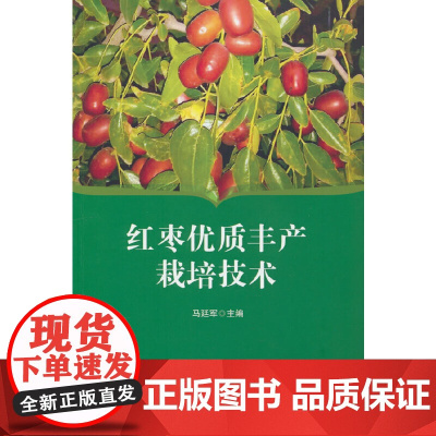 红枣优质丰产栽培技术