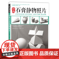 石膏几何体静物照片书画素描专用专业摄影对画照片图书杨建飞主编sh
