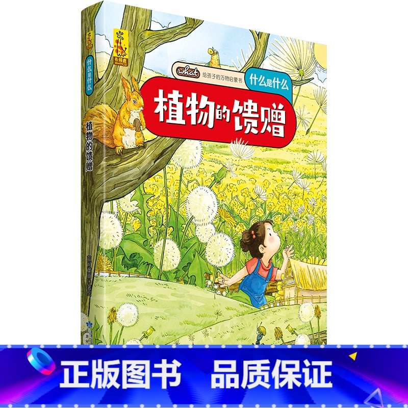 [科普绘本]植物的馈赠 [正版]精装我们的节日 新年绘本 画给孩子的中国传统节日中国民俗文化书籍民俗故事绘本传统绘本3-