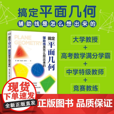 搞定平面几何:辅助线是怎么想出来的 学好数学并不难 初中生青少年数理化科普读物数学之美几何原本数学类书籍