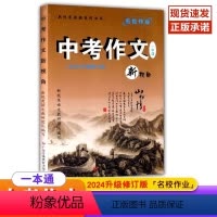 2024新视角 中考作文 初中通用 [正版]2024升级修订版 新视角中考作文一本通 初中九年级满分作文高分新视角教辅系