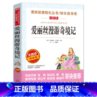 爱丽丝漫游奇境记 [正版]爱丽丝漫游奇境记书原著版 六年级下册必读课外书教师小学生经典书目阅读书籍6 下学期老师天地出版