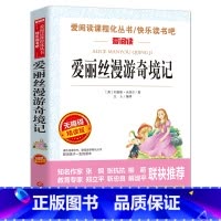 爱丽丝漫游奇境记 [正版]爱丽丝漫游奇境记书原著版 六年级下册必读课外书教师小学生经典书目阅读书籍6 下学期老师天地出版