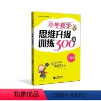 [正版]小学数学思维升级训练300题二年级2年级每日10分钟解题更轻松小学二年级数学课外辅导数学思维训练培优