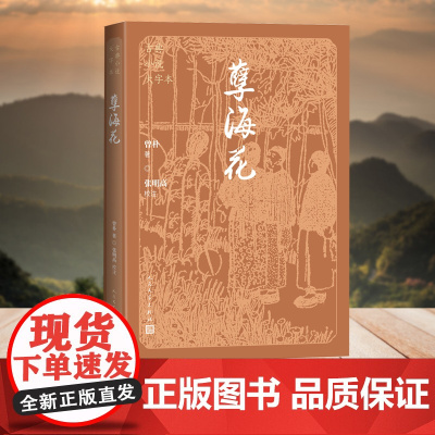 孽海花(中国古典小说大字本)