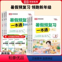 [荣恒]暑假预复习一本通 三升四 [正版]荣恒2024暑假预复习一本通一升二升三升四升五升六年级下册小升初语文数学英语3