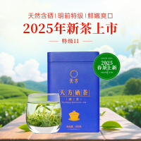 [中华特色]池州馆 2025年新茶春茶安徽天方茶叶200g特级II硒茶绿茶明前高山烘青绿茶绿色食品石台硒茶华东