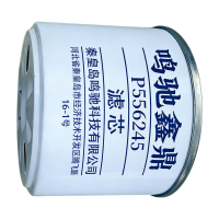 鸣驰鑫鼎 滤芯 P556245 个