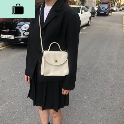肥肥自制女包2020新款ins斜挎包中古包网红小包chic手提包单肩包NEW LAKE女斜挎包