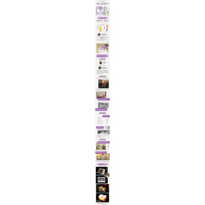 维新的构想与开展 : 明治时代(讲谈社·日本的历史10)