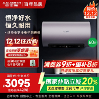 AO史密斯60升电热水器 国家补贴 金圭内胆 双棒分离速热 免换镁棒 免清洗短款 E60ED8-B
