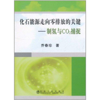 醉染图书化石能源走向零排放的关键:制氢与CO2捕捉9787502455903