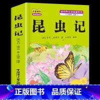 [1本]昆虫记 [正版]小学生歇后语谚语成语接龙中华成语故事大全注音版儿童猜谜语一年级二年级三四年级阅读课外书必读老师小