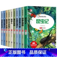 [10册]获奖文学名著 [正版]昆虫记稻草人爱的教育等彩图注音版 小学生一二三年级阅读课外书 图画书全10册 小学生阅读