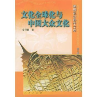 音像文化全球化与中国大众文化金民卿