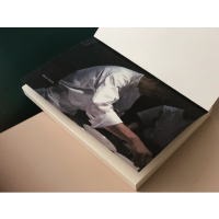 音像天才主厨的温度 "HAJIME"法餐厅米田肇的故事(日)石川拓治