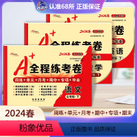 语文+数学+英语 人教版 六年级下 [正版]3本2024新版 A+全程练考卷六年级语文数学英语人教版下册试卷 小学6年