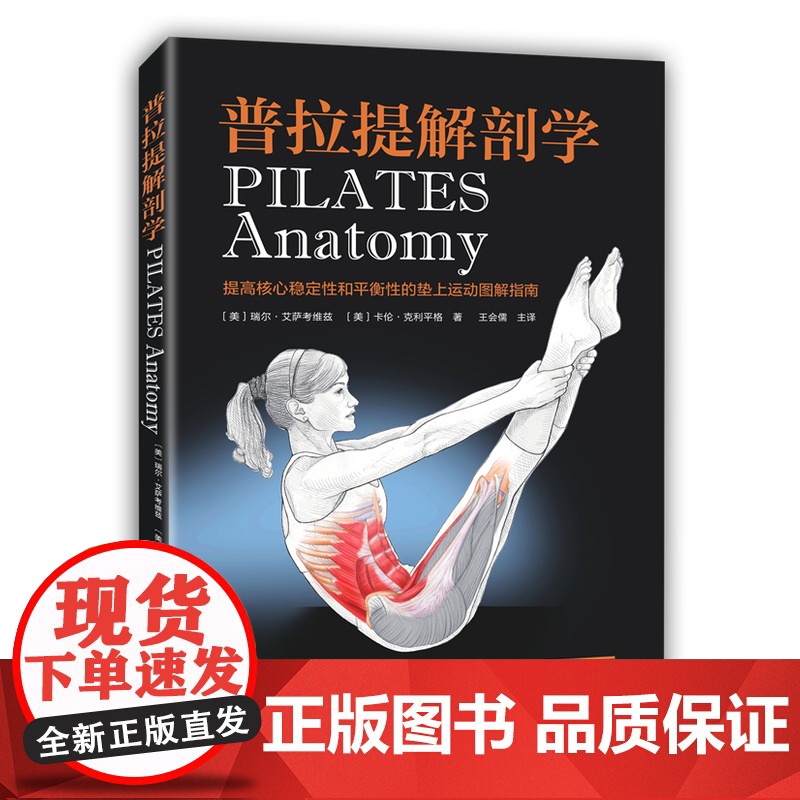 普拉提解剖学 提高核心稳定性和平衡性的垫上运动图解指南 普拉提教程书籍 普拉提训练入门 动作要领 肌肉健美训练