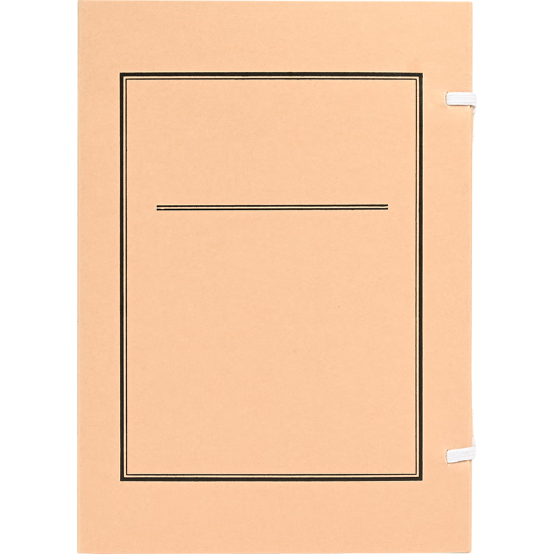 骏驰宇 JCY-GWWS4 无酸文书档案盒 31*22*4cm 250个/箱(单位:箱)棕色