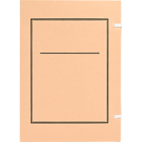 骏驰宇 JCY-GWWS4 无酸文书档案盒 31*22*4cm 250个/箱(单位:箱)棕色