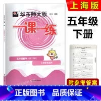 数学 五年级下 [正版]2023春华东师大版一课一练 数学 五年级第二学期/5年级下册华东师范大学出版社 上海版配套教辅