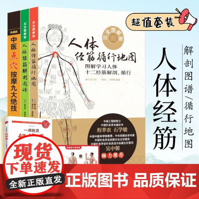 人体经筋循行地图解剖学习人体十二经筋解剖循行 图解中医点穴按摩九大绝技典藏移筋整骨中医推拿按摩秘传九种练功点穴运气方法