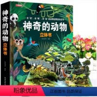 [3D震撼立体书]神奇的动物 [正版]神奇的动物 昆虫立体书揭秘系列儿童3d翻翻书绘本故事书3-6-8岁以上科普百科情景
