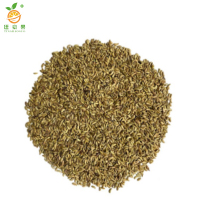 廷豪果 野花组合花籽 野花组合种子 净籽 /千克