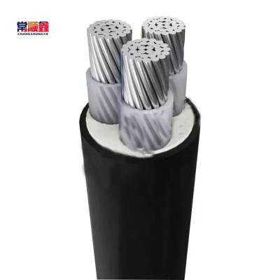 常顺鑫 低压铝芯电缆ZC-YJLV3×120 米