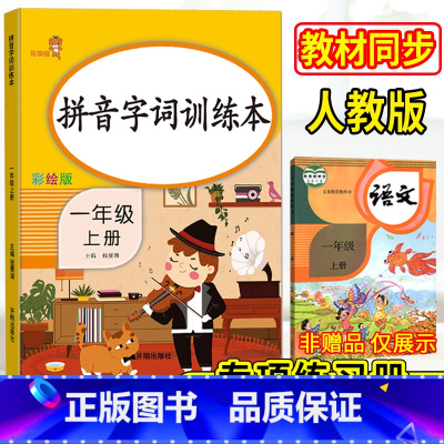 [正版]乐学熊 拼音字词训练本 一年级上册(彩绘版) 小学一年级上册写字组词看拼音铅笔练字本小学一年级上册语文拼音词语