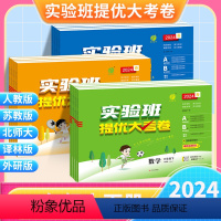 全套3本?语数英[人教版] 六年级下 [正版]2024新版春雨实验班提优大考卷一二三四五六年级上册下册人教版苏教小学学霸