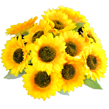 舞台头花图片 舞台头花图片大全 苏宁易购