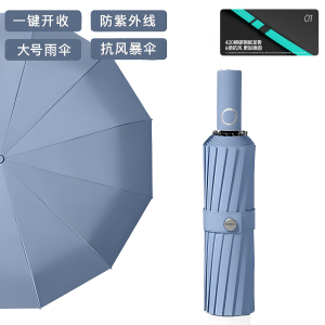 自动伞034