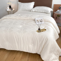 高端提花大豆纤维被春秋被芯羽丝绒冬被子单人四季子母被夏被