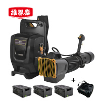 维思泰 锂电充电吹风机除雪机暴风机 LDC82V (背负式三电一充)台