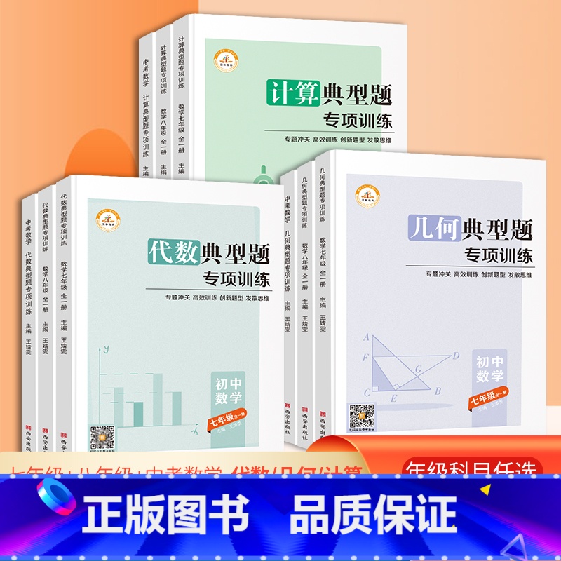 七年级[计算+几何+代数3本] 初中通用 [正版]初中数学几何典型专项训练七年级八年级中考代数几何计算解题方法与技巧高效