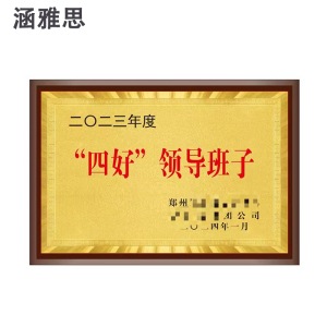涵雅思 奖牌 35*50cm 块