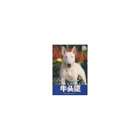正版新书]牛头更孙欧9787503841613