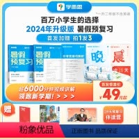 新标准 暑假预复习 二升三 [正版]2024暑假预复习暑假作业一本通 一升二 三四五六年级 28天打卡计划 全国