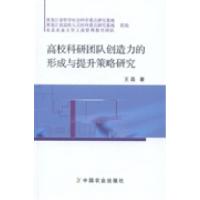 正版新书]高校科研团队创造力的形成与提升策略研究王磊著978710