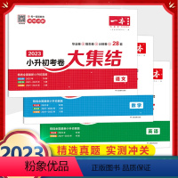 小升初考卷大集结(语+数+英) 小学升初中 [正版]2024一本小学语文毕业升学阅读训练100篇六年级阅读理解训练上下册