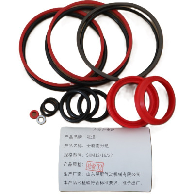 晟焜全套密封组SKM12/16/22