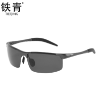 铁青防紫外线偏光眼镜PG23 个