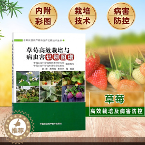 [醉染正版]草莓种植技术草莓高效栽培与病虫害识别图谱+有机草莓栽培实用技术大棚草莓种植技术草莓育苗管理栽培技术现代农业草