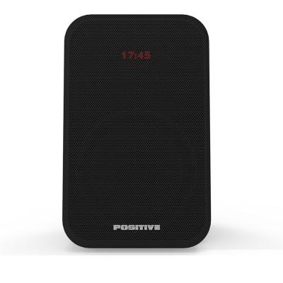 戴阳壁挂音箱PT-3260D(拍前需联系客服)