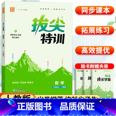 数学 人教版 六年级上 [正版]小学生数学拔尖特训六年级上册RJ人教版 通成学典小学6年级上册数学同步强化训练习题册培优
