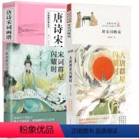 [正版]4册大唐群星闪耀时+宋词群星闪耀时+唐宋词概说 +唐诗宋词画谱 书籍